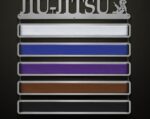 Custom BJJ Belts Premium Fully Customizable Martial Arts Belts