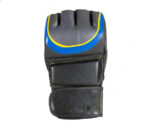 Custom MMA Gloves for Training and Competition